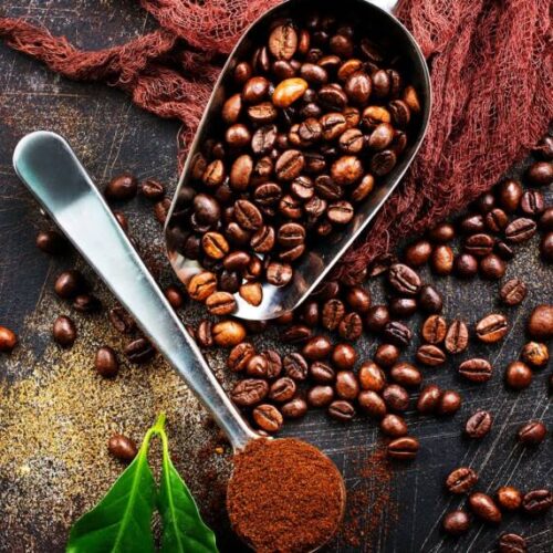 Why Fresh Roasting Matters